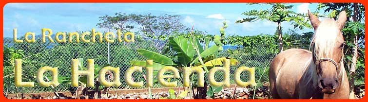 ricky in the garden of la hacienda